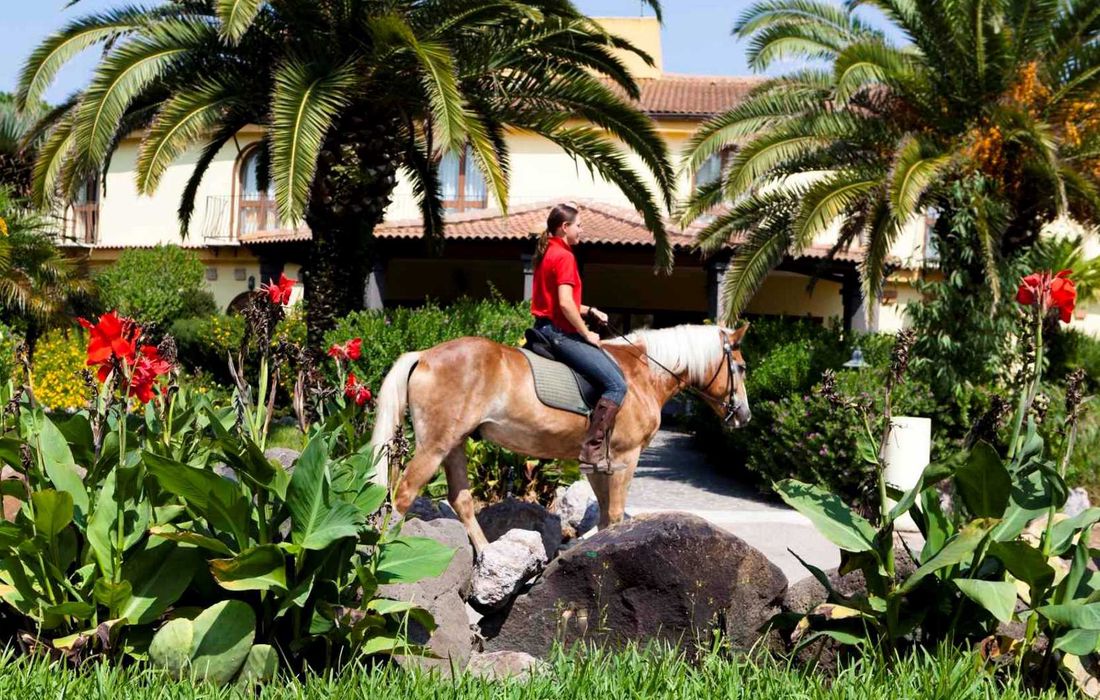 Horse Country Resort, Congress & Spa a Arborea