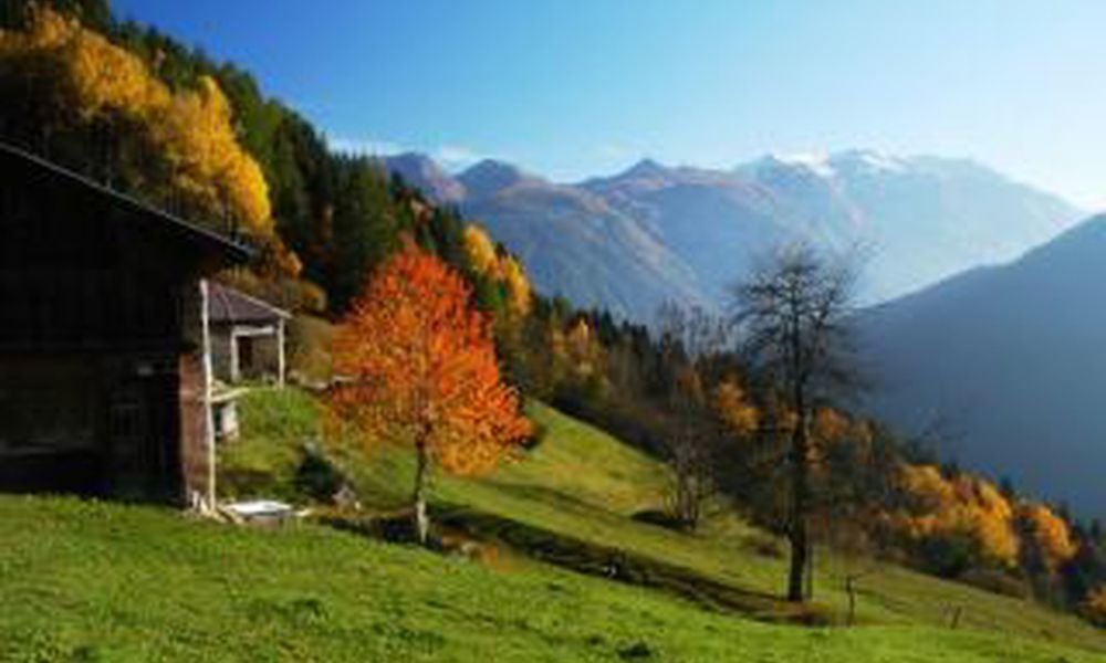 Offerta Montagna, Alpholiday Dolomiti