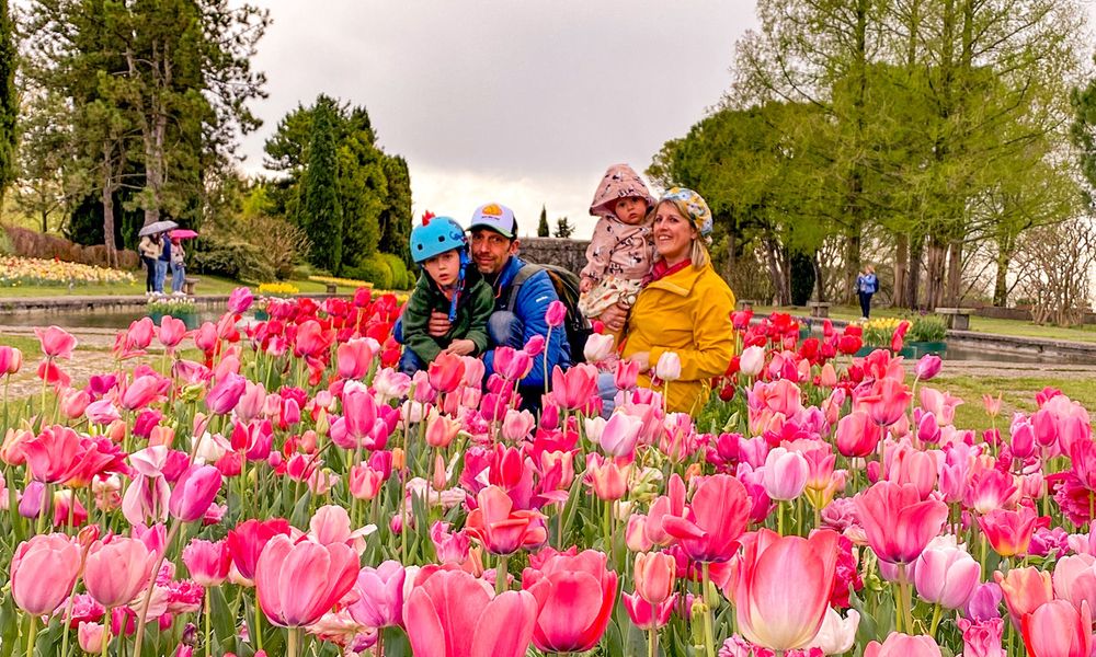 Offerta Lago di Garda Hotel La Meridiana