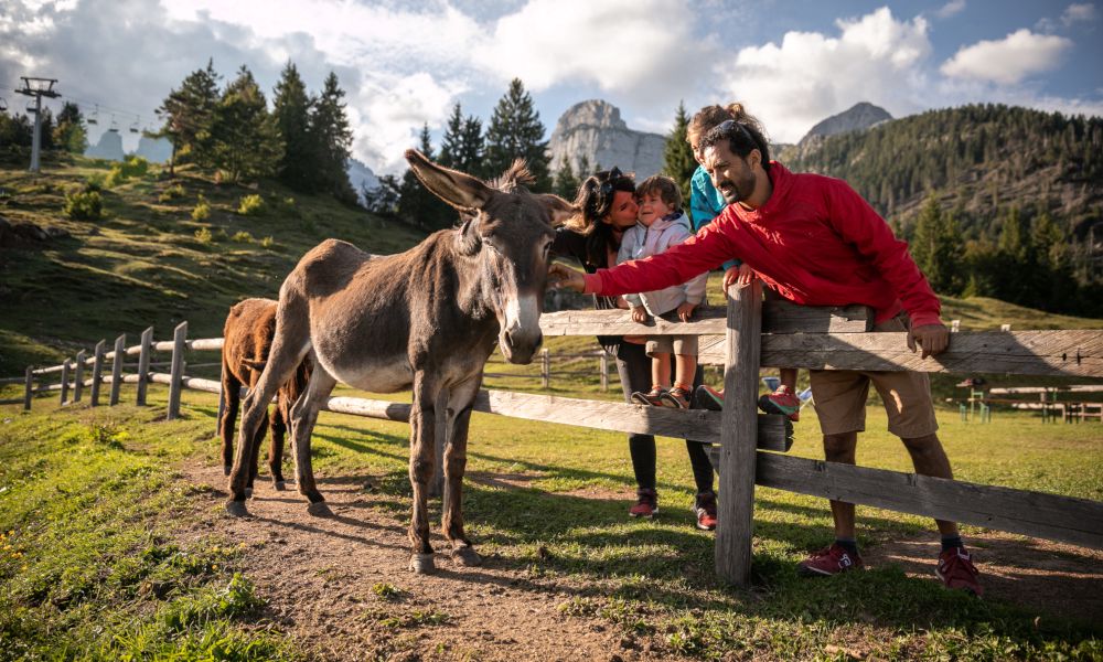 Offerta Montagna, Grand Hotel Piz Galin Family & Wellness