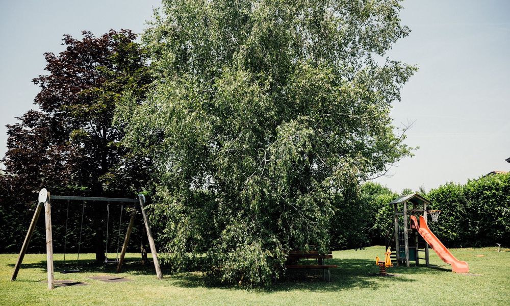 Offerta Natura, Hotel La Meridiana