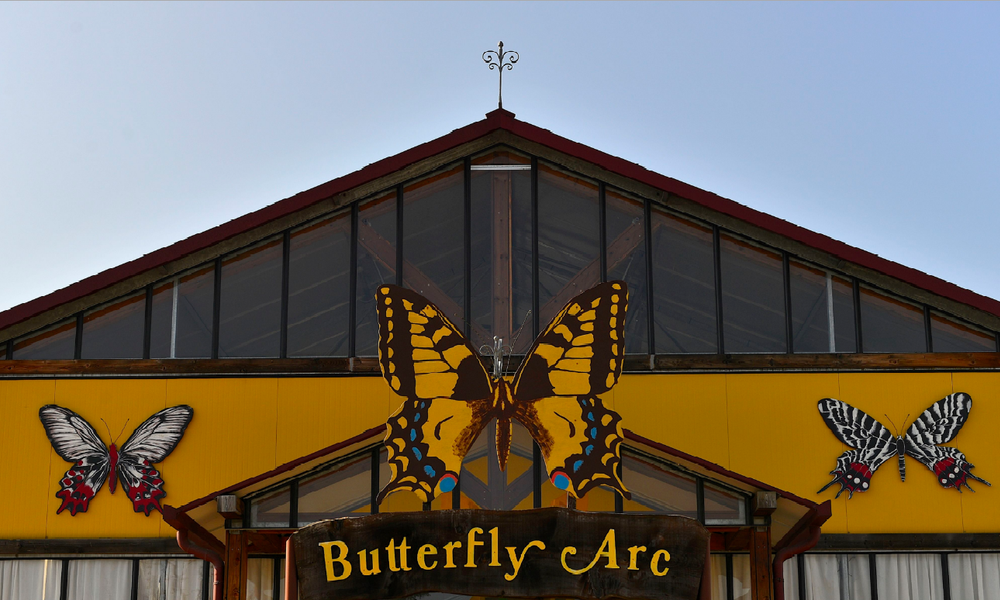 Butterfly Arc - Casa delle Farfalle e Bosco delle Fate a Montegrotto Terme