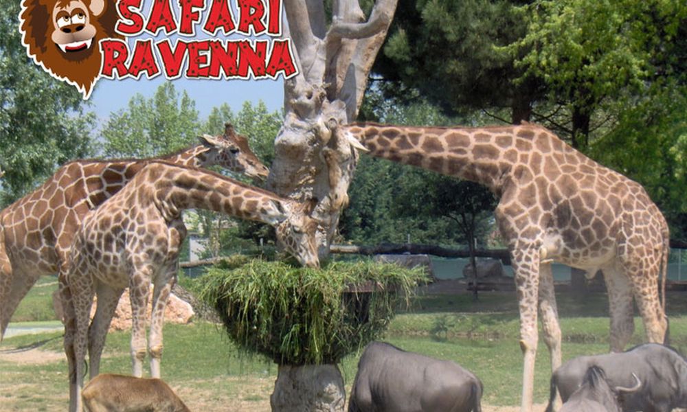 Zoo Safari Ravenna a Ravenna