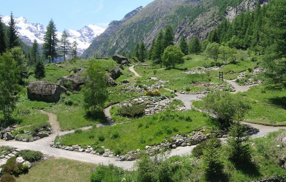 Giardino Botanico Alpino Paradisia a Cogne