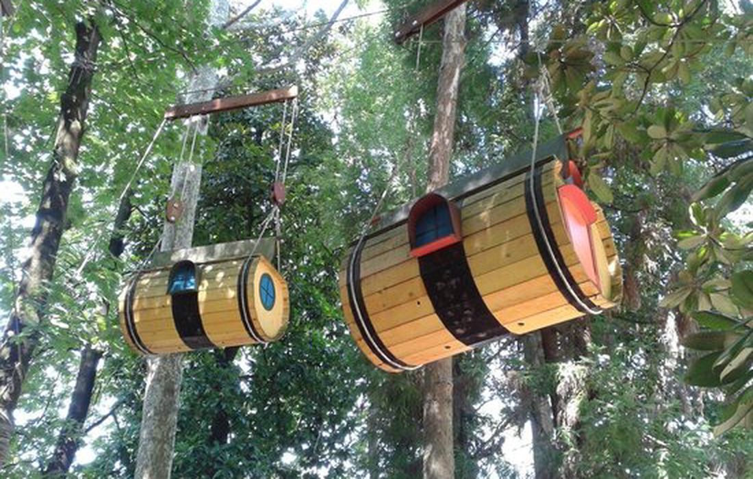 Il Parco degli Alberi Parlanti a Treviso 