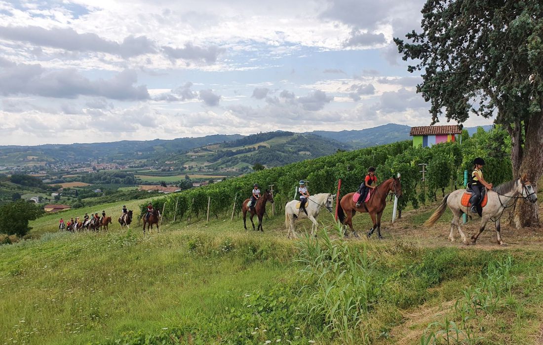 Passeggiata a cavallo nelle Langhe a San Marzano Oliveto
