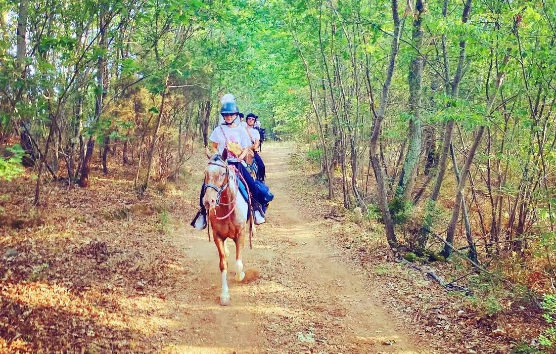 Passeggiata a cavallo nei boschi a Manciano