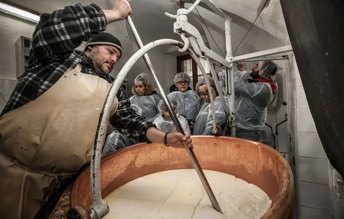 Giornata in fattoria: dalla mungitura al formaggio a Baceno 