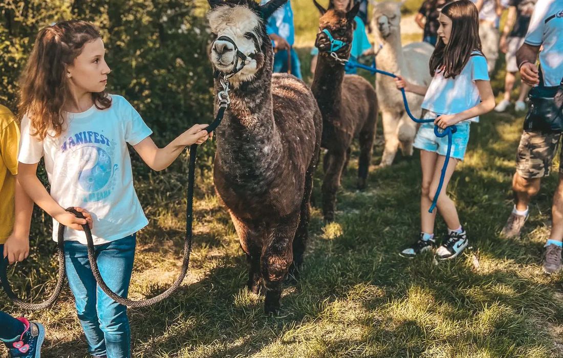 Passeggiata con alpaca e picnic sui Colli Tortonesi a Sarezzano