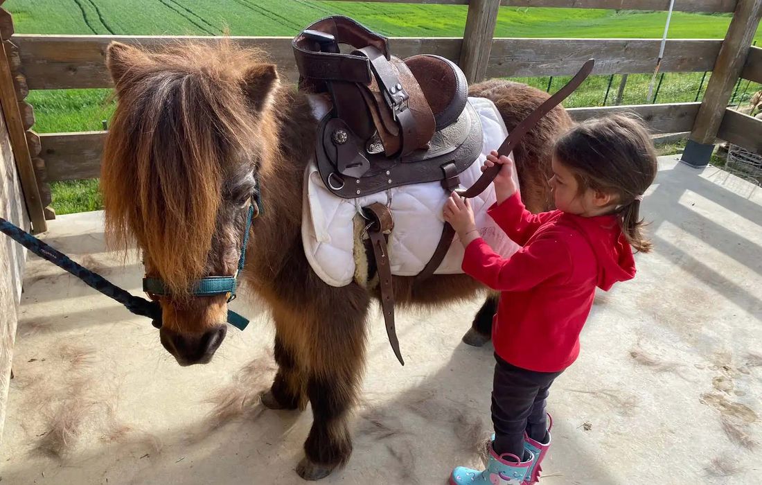 Passeggiata sul pony per bambini a Brisighella