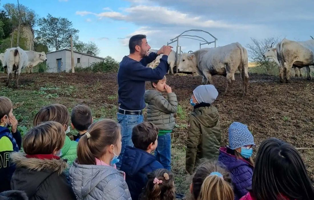 Visita in fattoria e laboratorio di formaggio in Romagna a Mercato Saraceno