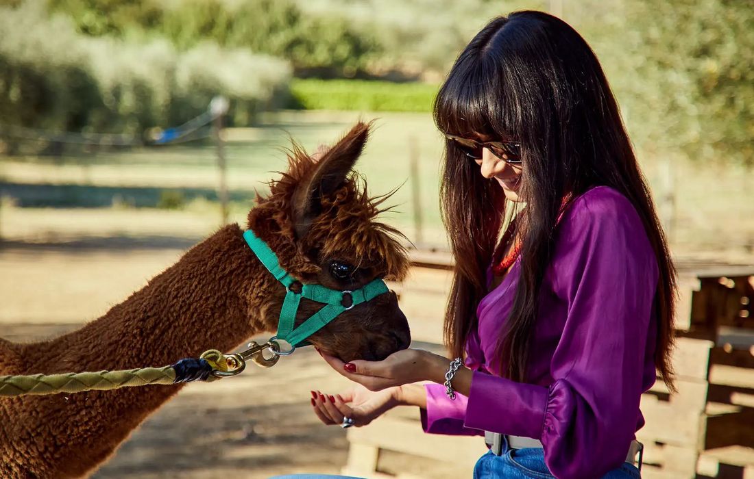 Passeggiata con gli alpaca a Chianciano