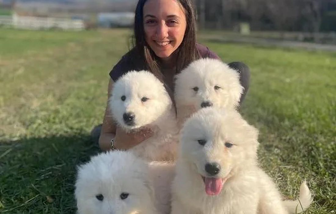BIOPARCO CINOFILO DEL PIEMONTE ORIENTALE a SAREZZANO