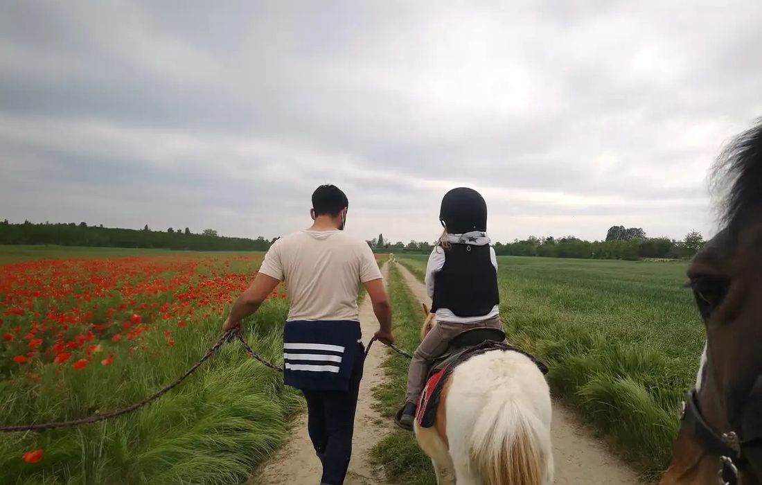 Passeggiata nell'Oltrepò Pavese sui pony   a Arena Po