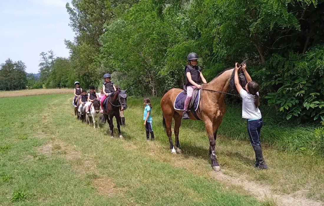 Passeggiata sui pony con merenda per bambini  a Melazzo 