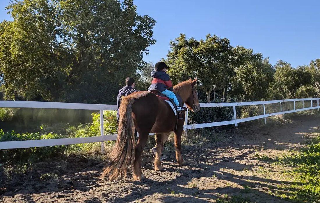 Battesimo della Sella   a Castel Volturno 