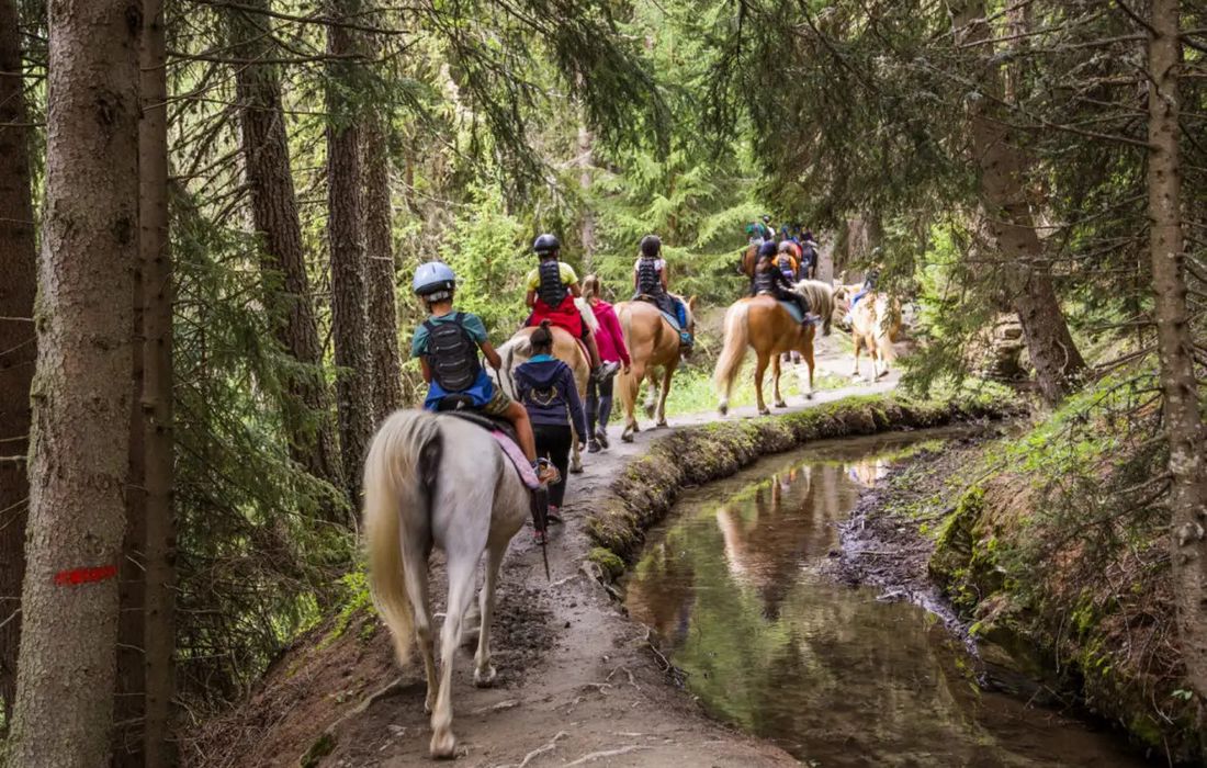 Passeggiata a cavallo tra boschi e ruscelli in Val d’Ayas a Antagnod
