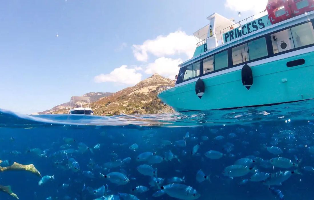 Tour in motonave di Sant'Andrea all'Isola d'Elba a Marina di Campo 