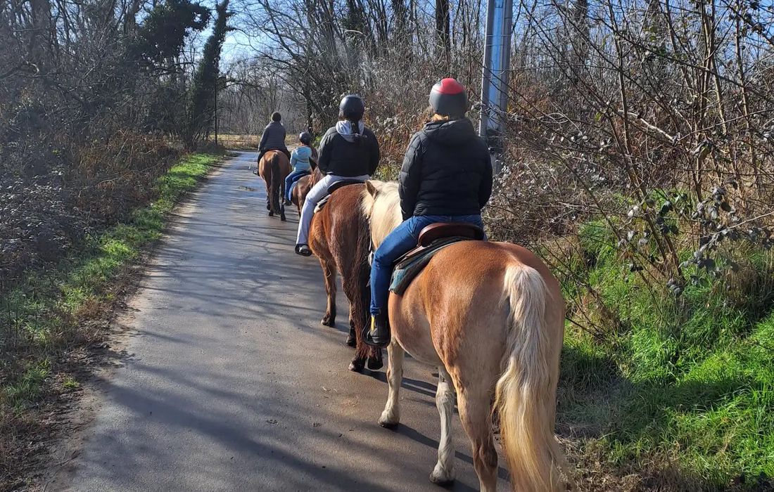 A cavallo nel parco del Ticino a Robecchetto Con Induno