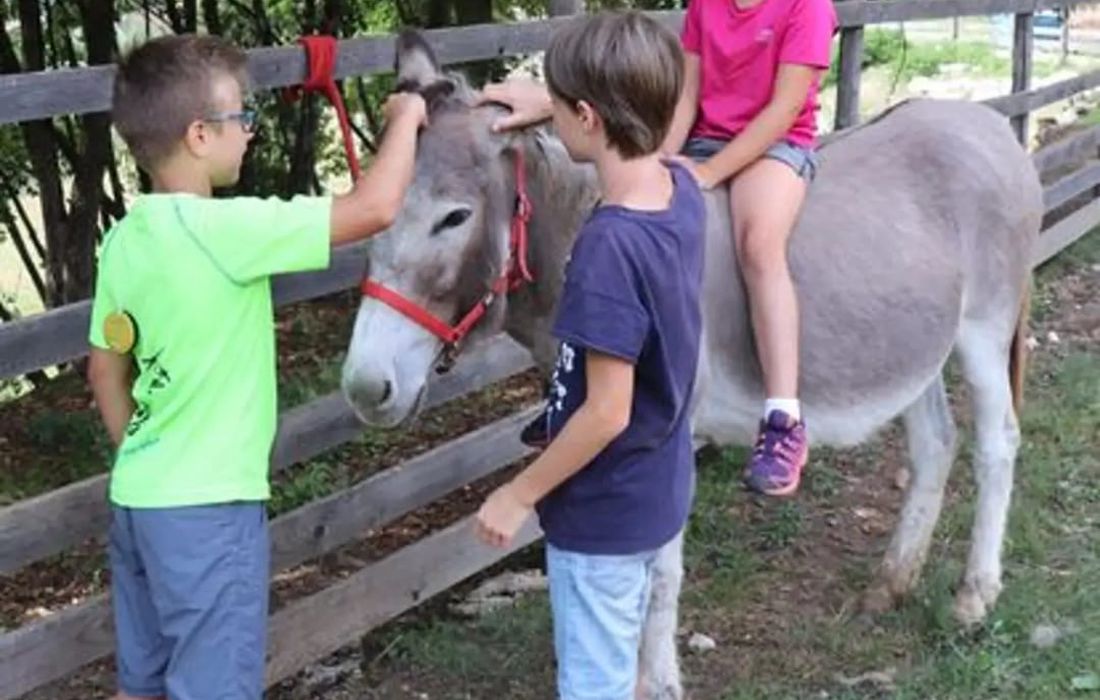 Visita guidata per famiglie in una fattoria della Val Tiberina a Pieve Santo Stefano