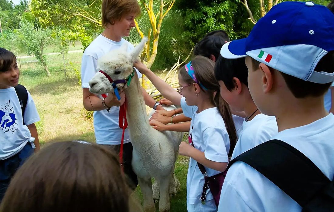 Esperienza con alpaca e altri animali nella Tuscia viterbese a Bassano in Teverina