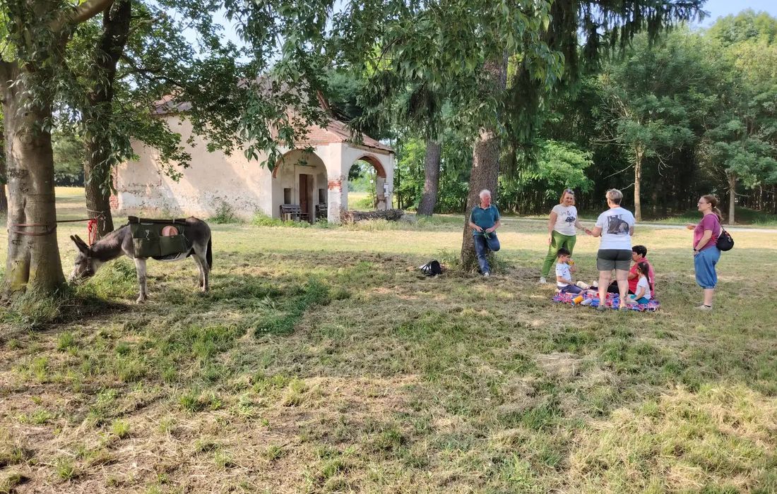Passeggiata con asinello vicino a Santhià a Borgo d'Ale