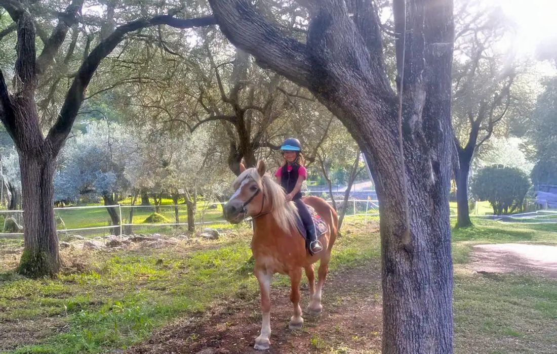 Passeggiata a cavallo in uliveto vicino ad Albenga a Cisano sul Neva