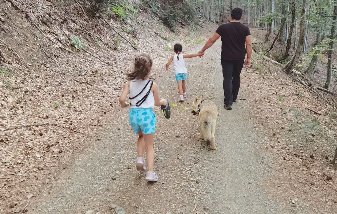 Passeggiata con lupi a Bedonia