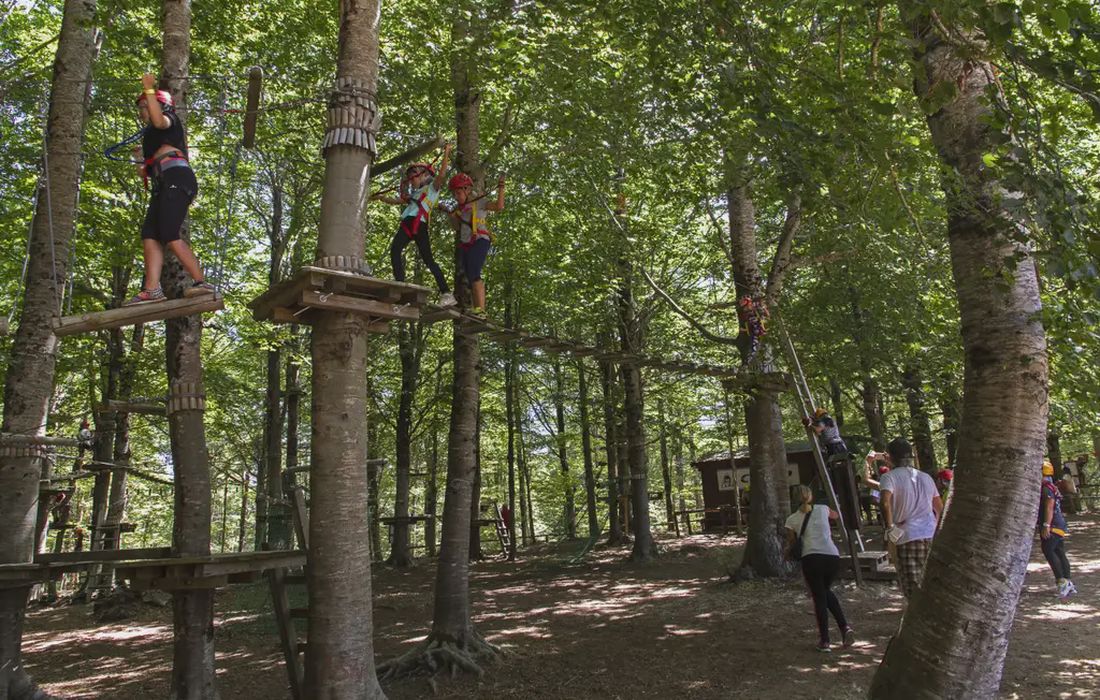 Parco avventura nella Sila a Tirivolo