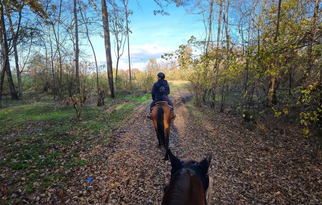 Passeggiata a cavallo tra i boschi a San fermo della battaglia