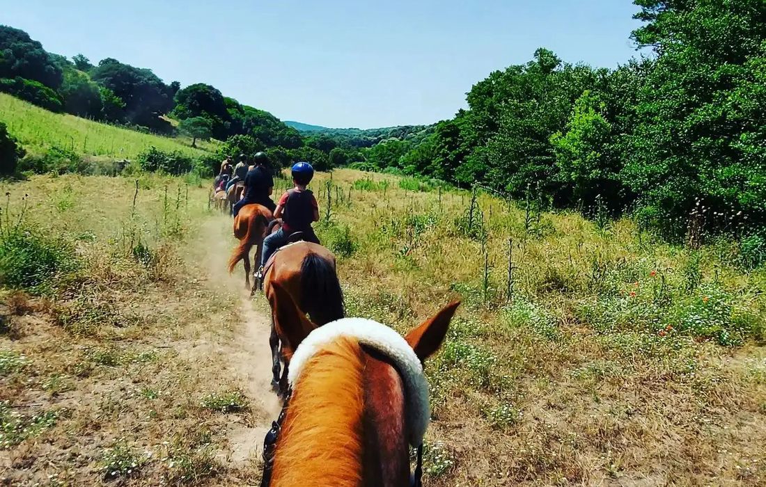 passeggiata a cavallo in Gallura  a Arzachena