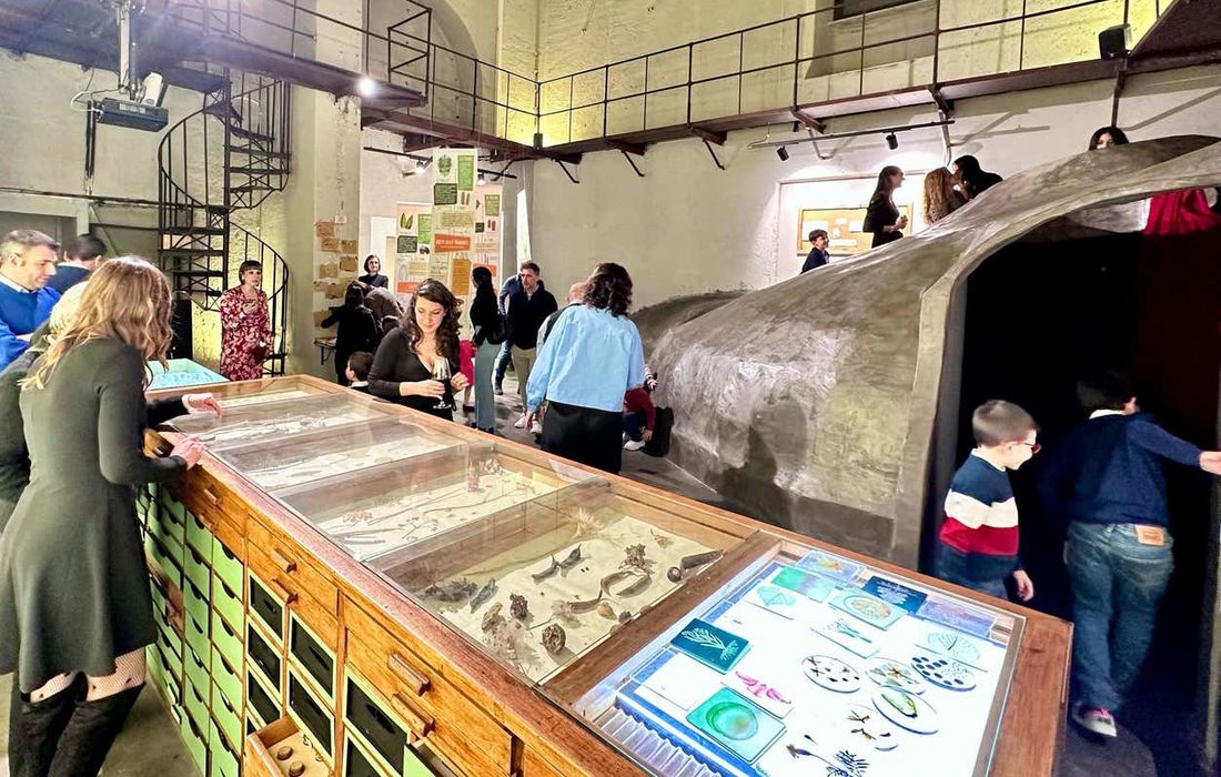 Radici, Piccolo Museo della Natura a Palermo