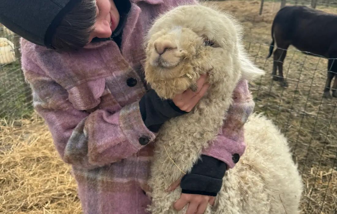 Visita guidata in fattoria e laboratorio per bambini in provincia di Lucca a Capannori