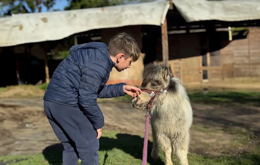 Passeggiata con i pony più piccoli del mondo a Venasca
