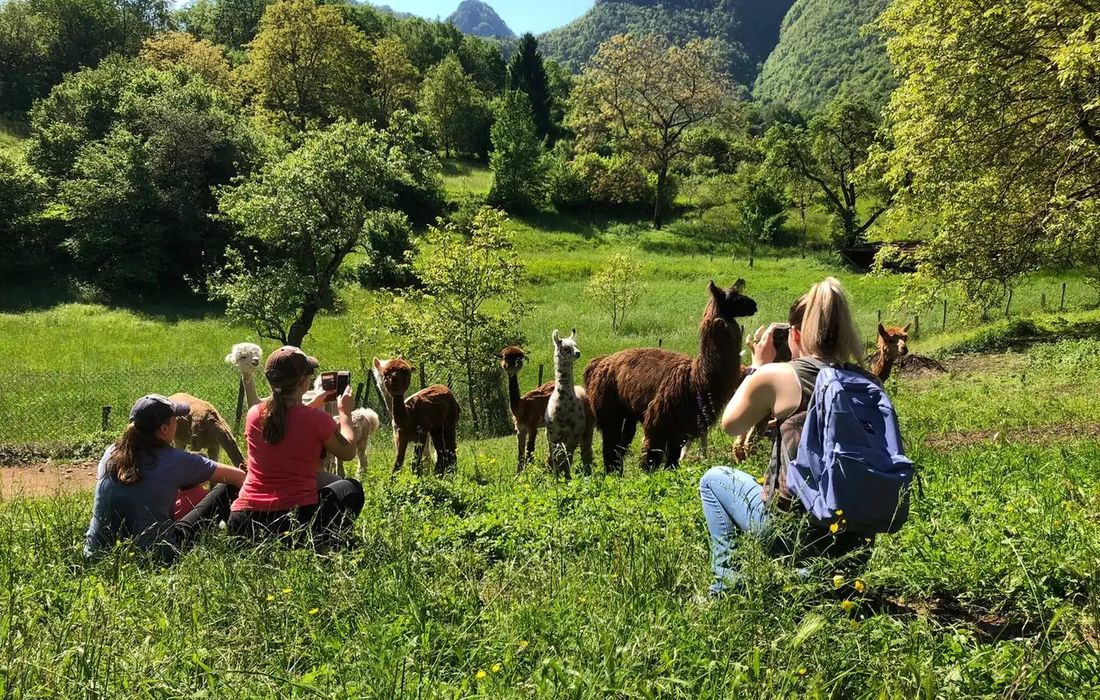 Esperienza in fattoria didattica a Lastebasse