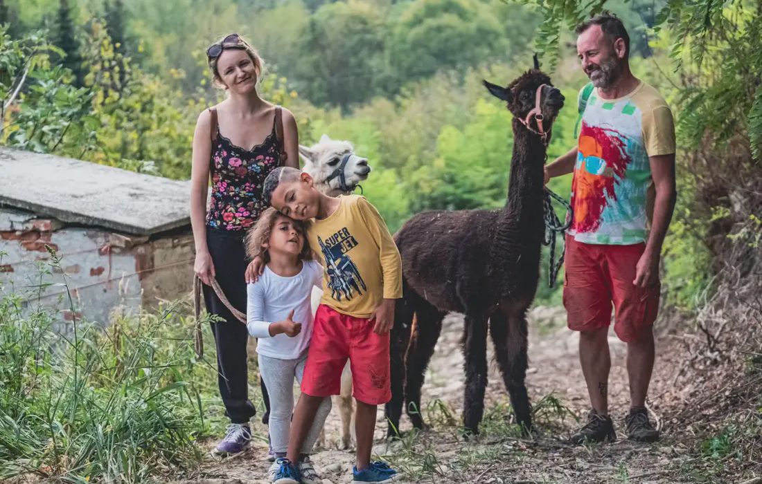 Passeggiata con alpaca sulle Langhe a Lequio Tanaro