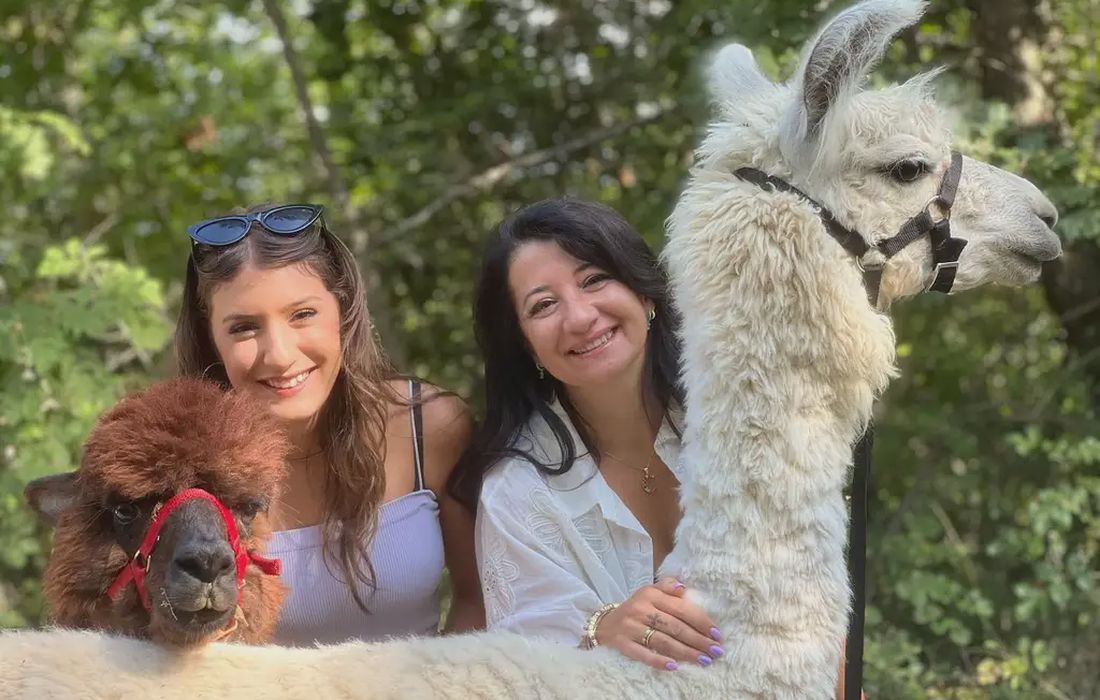 Passeggiata con alpaca e lama a Scandicci