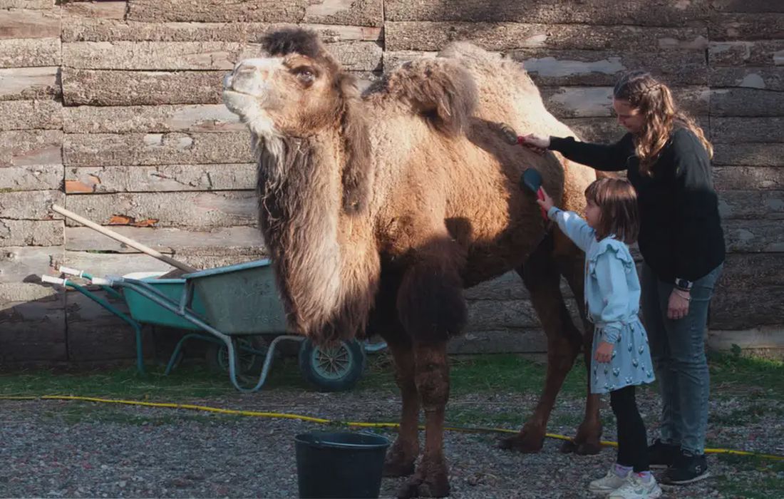 Giornata da Robin Hood a Anghiari