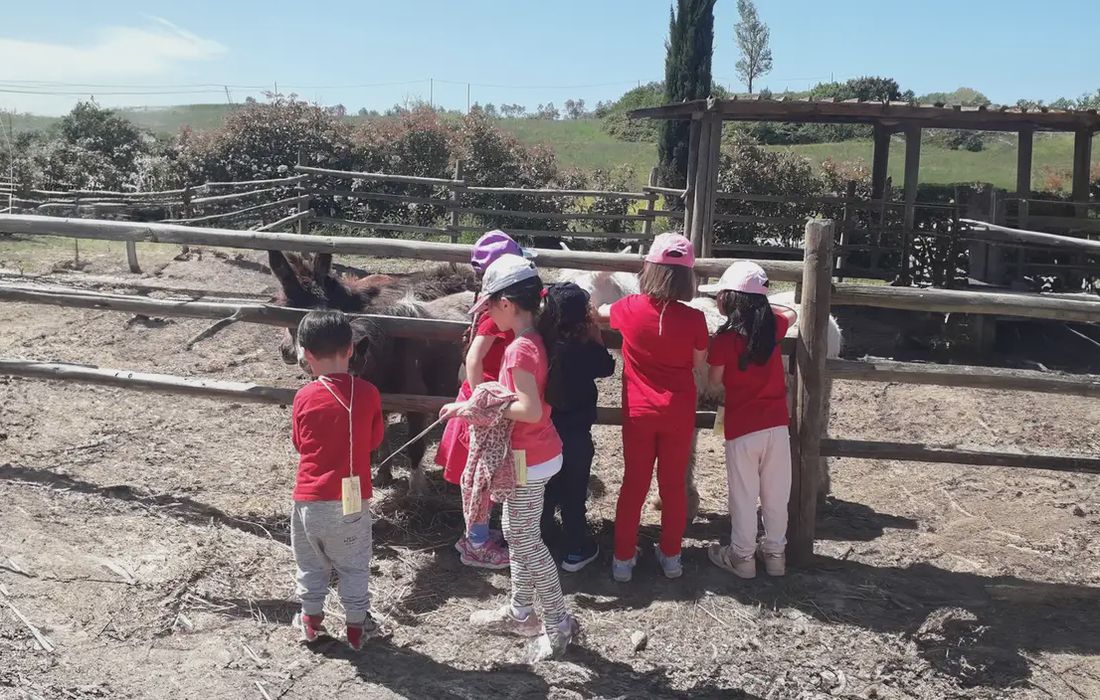 Esperienza in fattoria didattica a Gambassi Terme