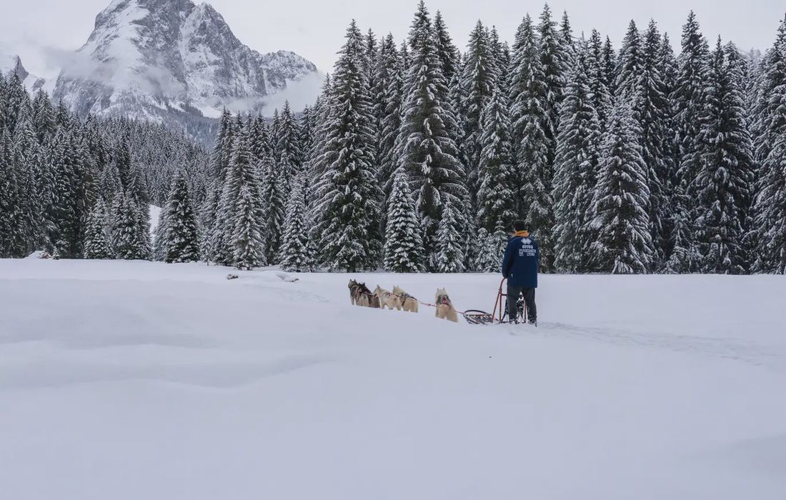Esperienza di sleddog nella Val Comelico a Santo Stefano di Cadore