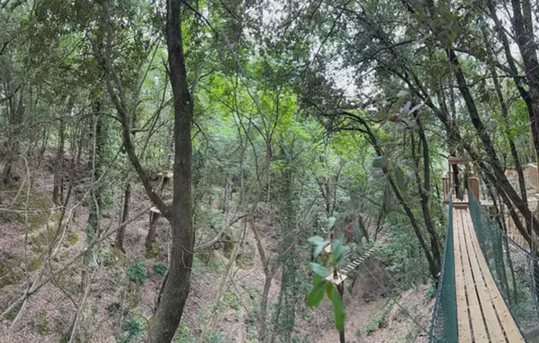 Parco avventura Vicino a Firenze a Reggello