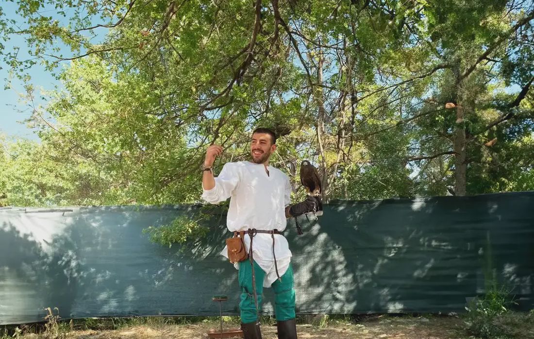 Falconiere per un giorno in provincia di Parma a Fontanellato