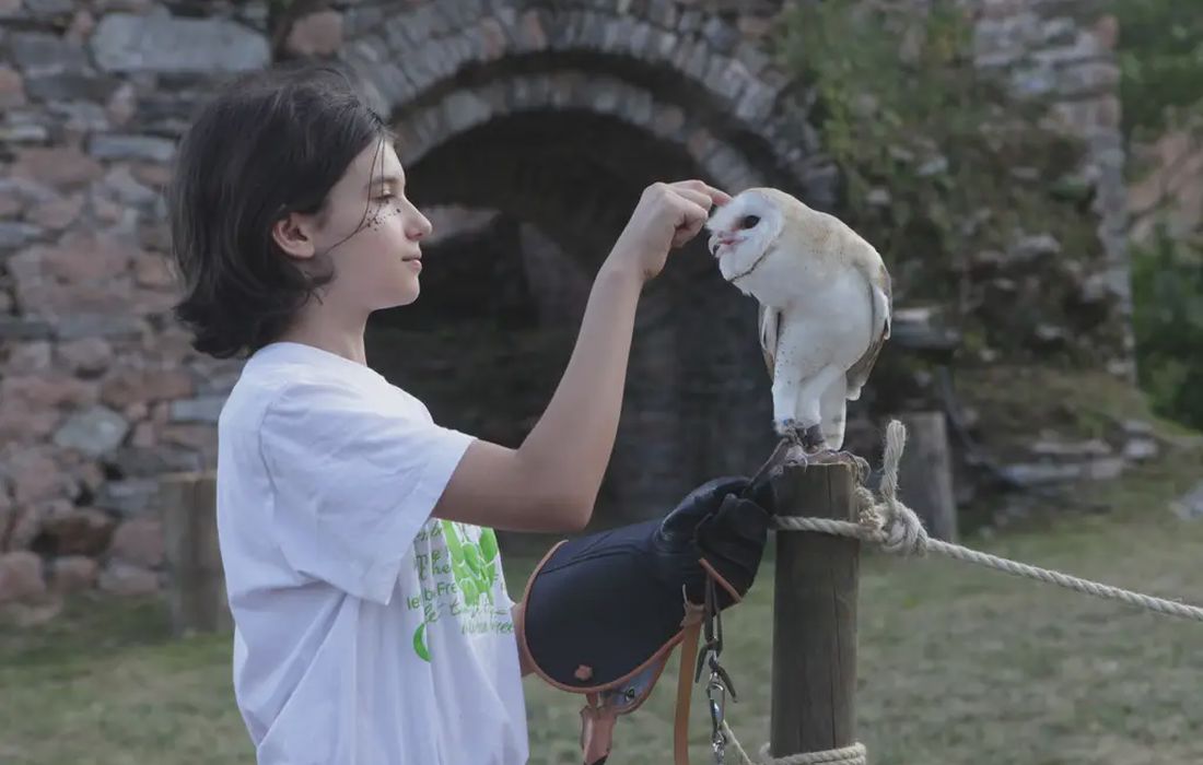 Passeggiata con i rapaci vicino Varese a Casalzuigno