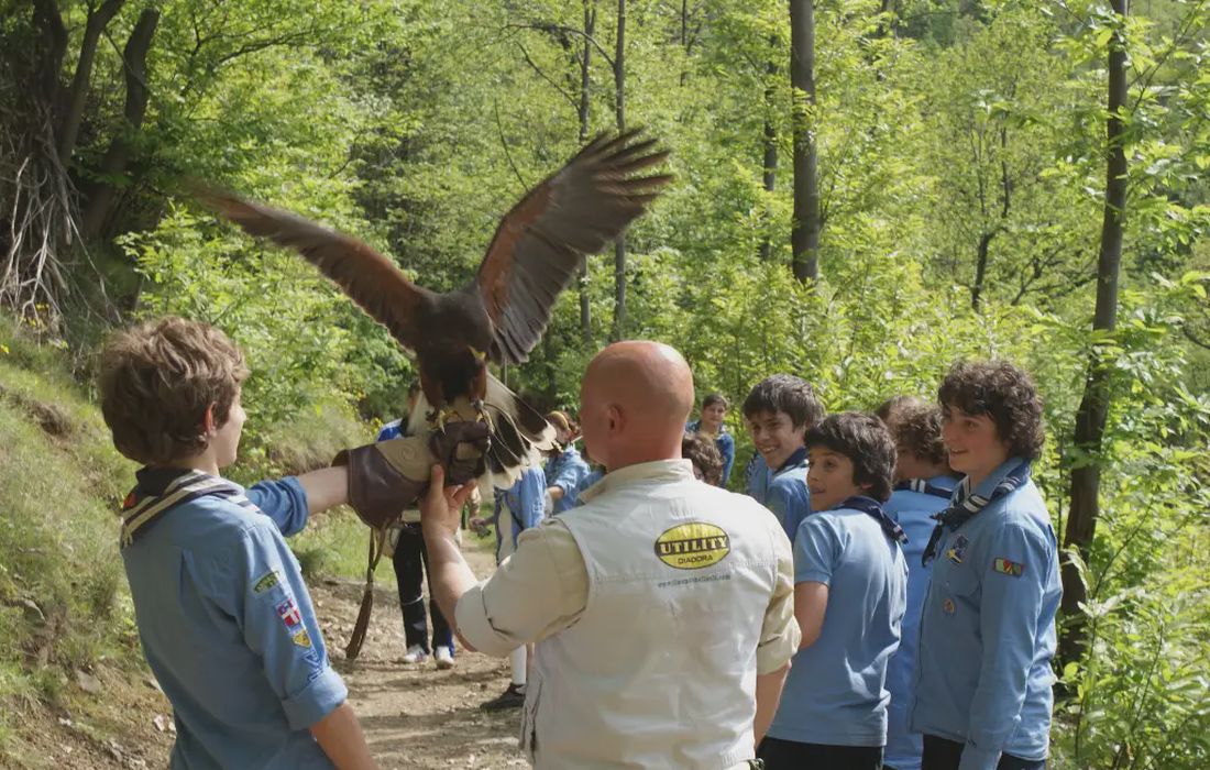Falconiere per un giorno vicino Torino a Gassino Torinese