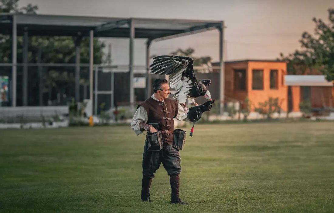Falconiere per un giorno in Salento a Salice Salentino