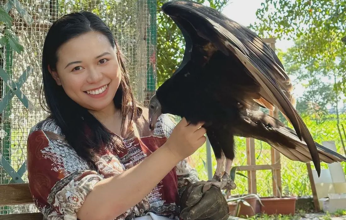 Incontro con rapaci Vicino a  Vicenza a Barbarano Mossano