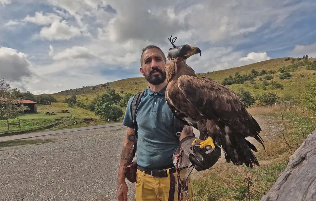 Incontro con i rapaci in provincia di Siena a Asciano