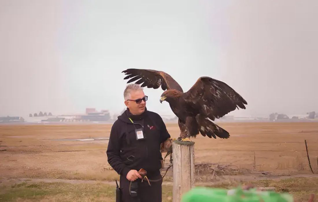 Falconiere per un giorno nel Canavese a Ciriè