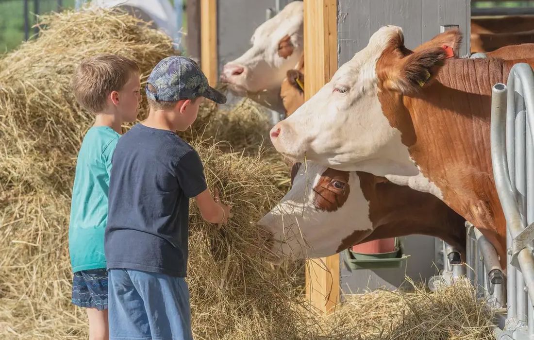 Esperienza di fattoria didattica in provincia di Trento a Arco