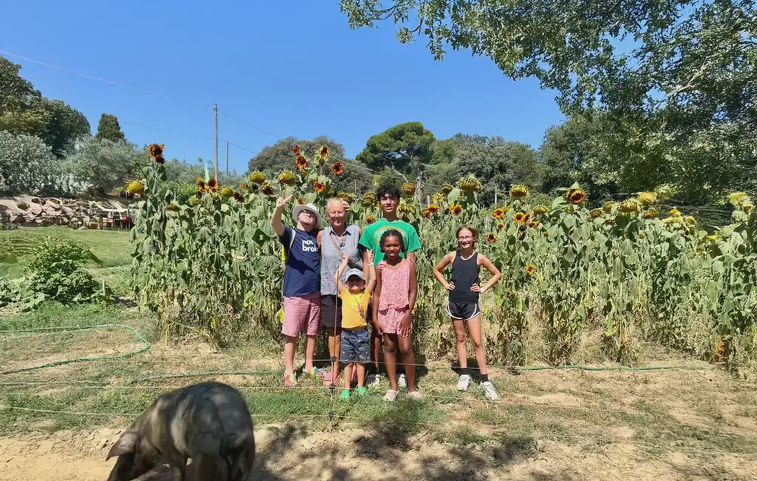 Visita in una fattoria di maiali Cinta Senese e light lunch a Moltepulciano
